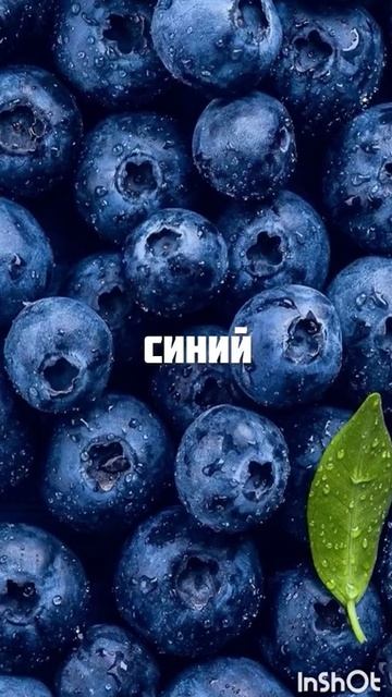 Цвета