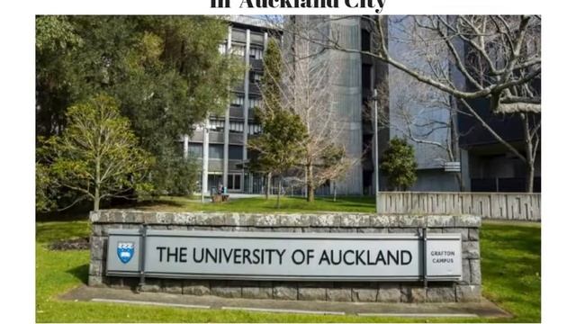 best universities in new Zealand,universities in new Zealand,the universities in new Zealand смотреть онлайн