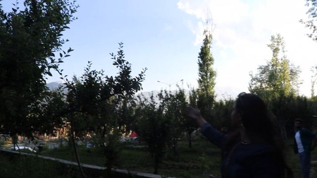Apple garden in Jummu Kashmir/tamil/different kinds of apple/#mahabepositive/Kashmir tamil vlog2 смотреть онлайн