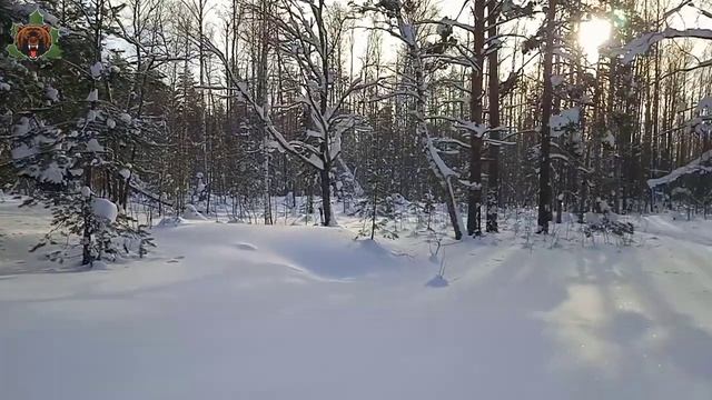 Дуб Пугачева 1 смотреть онлайн