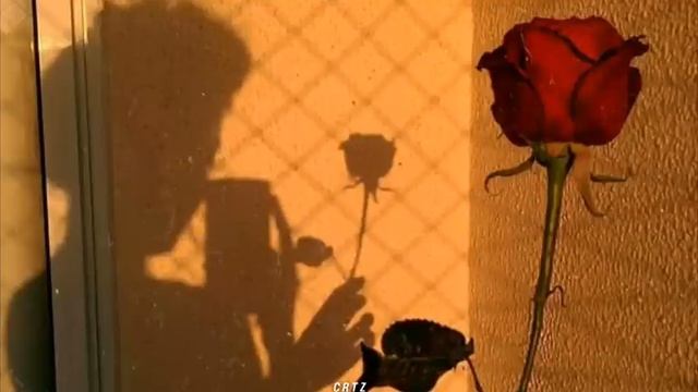 Alejandro Fernández // Mátalas [letra] смотреть онлайн