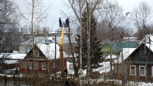 Спиливание многолетних деревьев на Октябрьском проспекте смотреть онлайн
