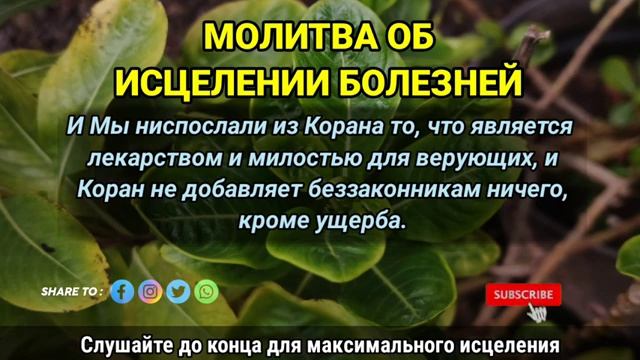 Молитва посланника Аллаха, послушайте сегодня 5 минут ,чтобы исцелить свою душу смотреть онлайн