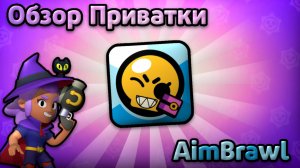 Обзор на Приватку Aim Brawl. Самая Имбовая Приватка?!