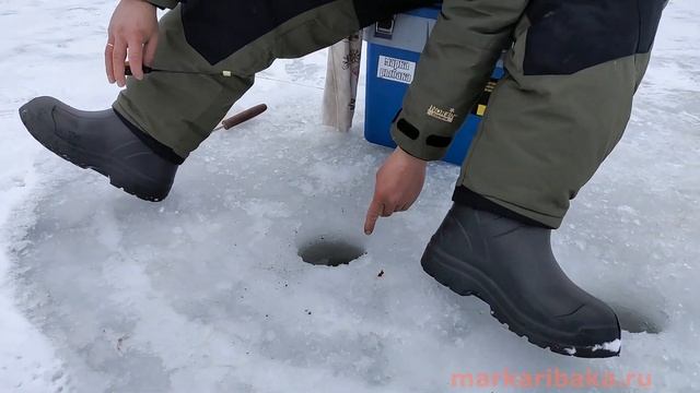 Как мы провели 23 февраля | #Подснежник | #мормышка на плотву | фанатам #ЗОЖ | @fishfilos смотреть онлайн