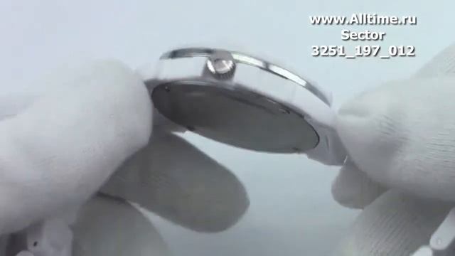 Мужские наручные швейцарские часы Sector 3251_197_012 смотреть онлайн