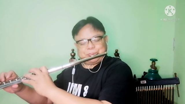 Pink Panther (flute cover) смотреть онлайн