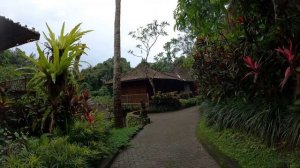 Отель Ayung Resort Ubud, Индонезия, 2022г., Часть 3