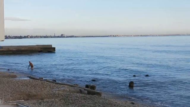 Везде в Крыму штормит, а в Феодосии спокойно смотреть онлайн