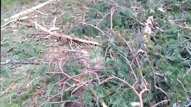 заготовка леса 4 день работы смотреть онлайн