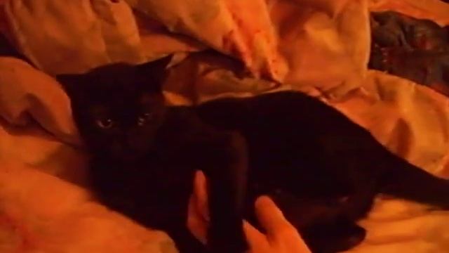 Windows XP Sp3 Installation смотреть онлайн