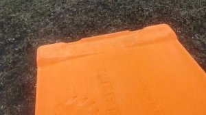 Весна, холод, пчелки сидят, раздал медовую сыту.