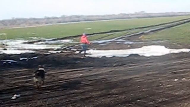 18+ смотреть онлайн