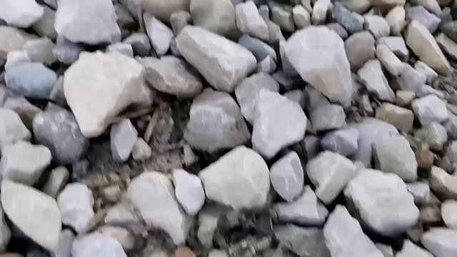 Природа🍄🍁Котики😺❤️