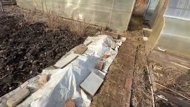 Давно ЕГО НЕ ЕЛИ//сшит НА НЕЕ//покупки//наведались в САД и СВЕТОФОР смотреть онлайн