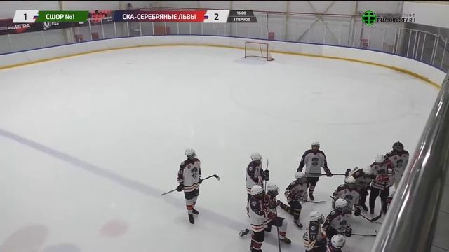 СШОР - СКА Серебрянные Львы / MEGA CUP среди команд 2009-U14 смотреть онлайн