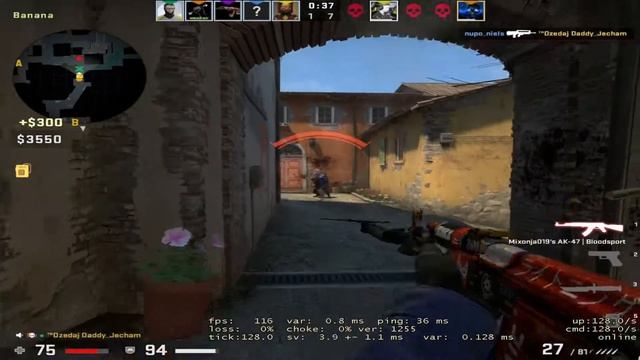 POLJAK 15 Y.O. TALENT (STEAL MY SWAG) смотреть онлайн