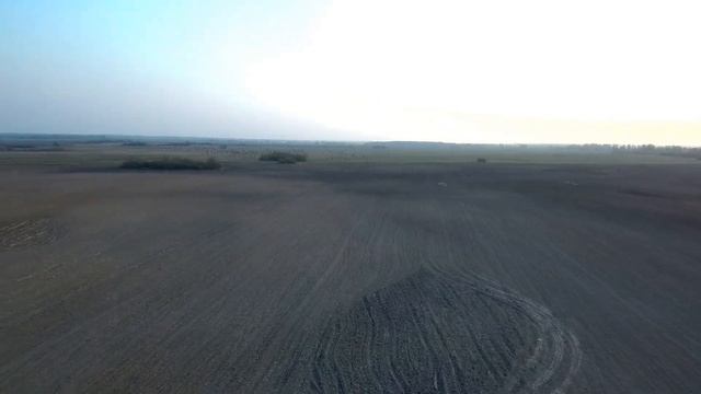 гуси добея смотреть онлайн