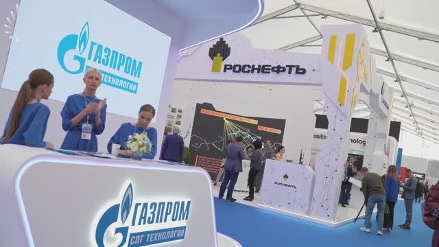 Выставка TNF EXPO 2023 смотреть онлайн