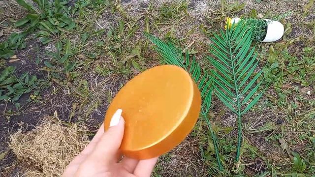 Пересаживаю улитят в большой террариум!🐌🥳🌿❤#supersnails смотреть онлайн