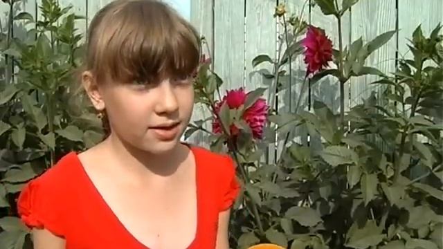 На месте пустыря цветник смотреть онлайн