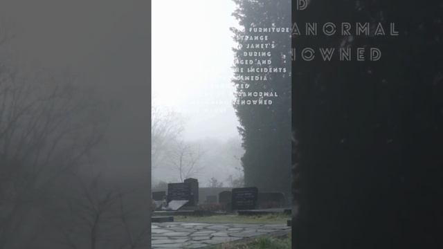 STORIES YOU NEED TO KNOW BEFORE YOU DIE. #truestories #twistedtales #inspiration #uniquestories смотреть онлайн