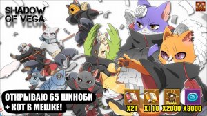 ОТКРЫВАЮ 65 ШИНОБИ + КОТ В МЕШКЕ! Тени Пика | Конфликт хидзюцу