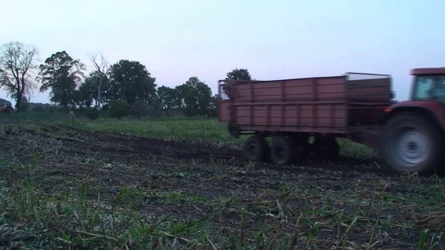 Claas Jaguar 870, Case IH i Zetor w kukurydzy na koszonkę 2020 смотреть онлайн