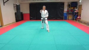 24. 6-й Дан. Тонг-Ил Туль Tong Il Tul черный пояс тхэквондо taekwondo таэквондо комплекс хьенг туль