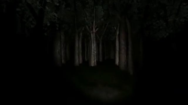 Slender 1 ночь с Flemom и Крипером смотреть онлайн