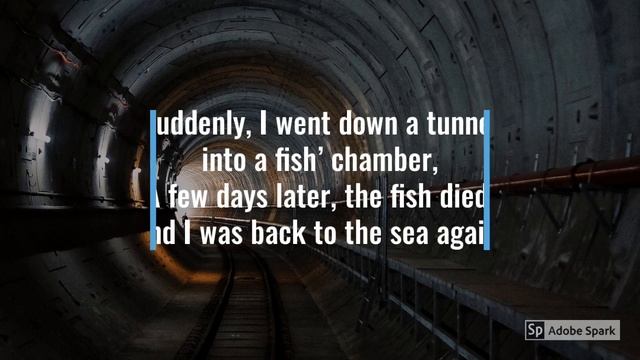 The Life of a Plastic Bag (Retell the Story Using Adobe Spark Video) смотреть онлайн