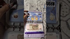 Знакомство со мной и системой по распределению денег по конвертам