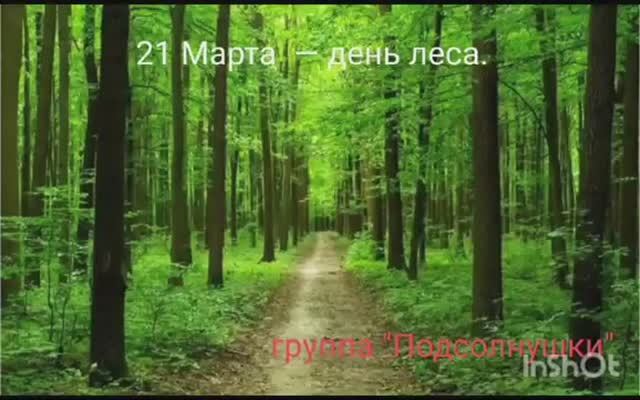 Разные животные в лесу