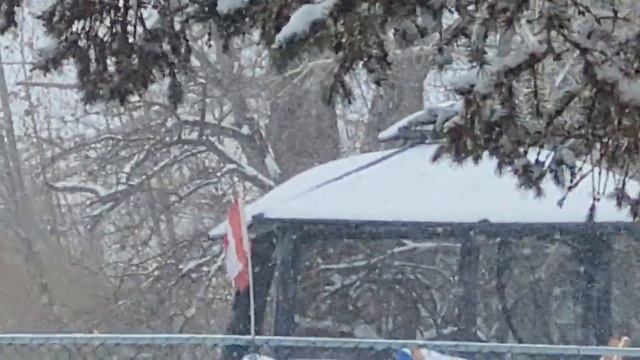Looking Out my Window, and Not Liking what I'm Seeing: Snow! смотреть онлайн