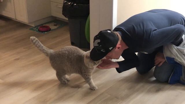 2019 ИЮЛЬ ЧЕЛОВЕК И КОШКА)))