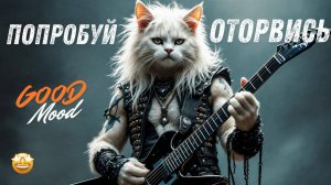 Русские Песни  для Души 🥓❤️🥓Лучшие Русские Хиты🥓😎🥓Russian music🥓❤️🥓Russian Music Mix 2025(#6)