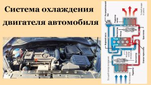 Система охлаждения двигателя автомобиля.