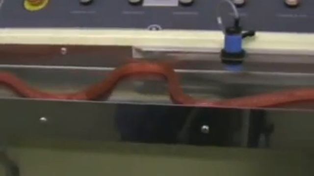 Loypack BL600 Lollipops In Production1