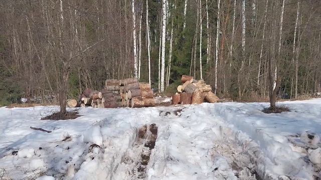 1 апреля Балатовский парк. смотреть онлайн