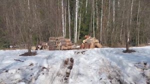1 апреля Балатовский парк.