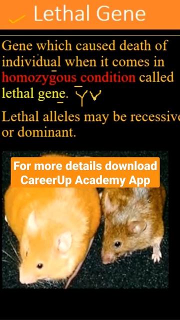 Lethal Gene Concept | Lethal Alleles | смотреть онлайн