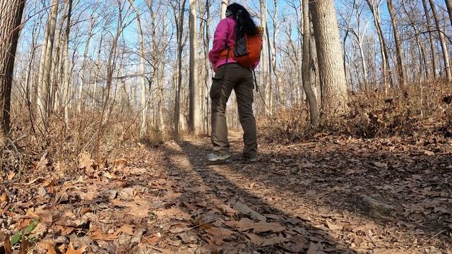 Hike#73 – Agricultural Farm and Rock Creek Trail North at Agricultural History Farm Park смотреть онлайн
