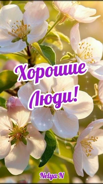 Доброе Утро. Добрый вечер. ВидеоОткрытки на каждый день смотреть онлайн