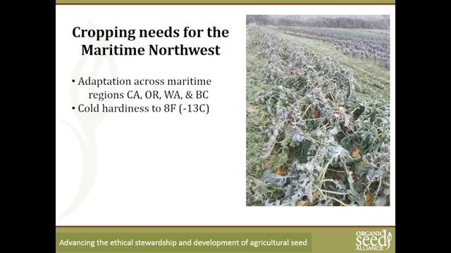 Research Update: Vegetable Crops - Part 3 (John Navazio) смотреть онлайн