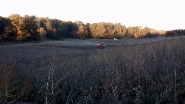 КОМБАЙН MASSEY FERGUSON 186 НАСТОЯЩИЙ СКАЛОЛАЗ! ЦЕ ЖЕСТЬ! МОЛОТИМО СОЮ. ЧАСТИНА 1 смотреть онлайн