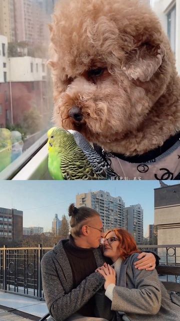 Моя музыка от души #песни #музыка #клип смотреть онлайн