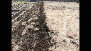 Испытания самодельного плуга из предплужника и минитрактора на пахоте