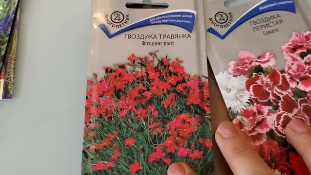 Обзор семян цветов 2024. Украшаем сад смотреть онлайн