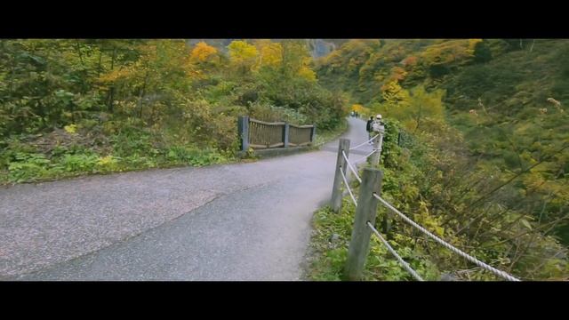 Honda CBR400R Exhaust Sounds - ZOOM H1n