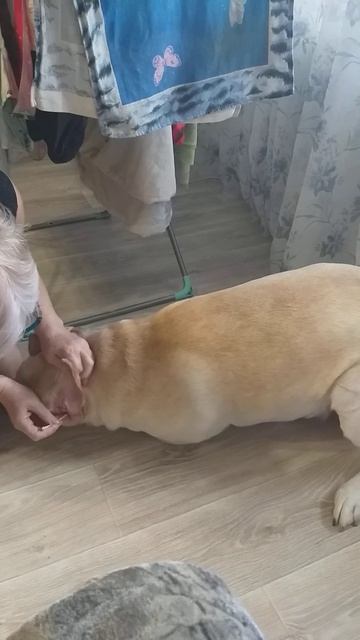 чистка ушей смотреть онлайн